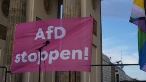 Nach Sachsen-Anhalt: Wohin, AfD? | Von Paul Clemente